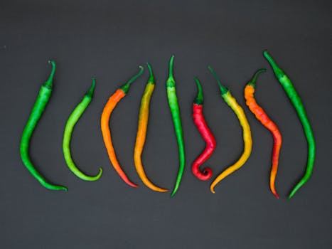 Understanding Chili Heat: A Beginner's Guide